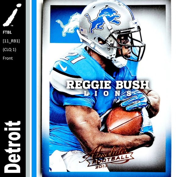 NFL Other - Detroit Lions (Reggie Bush) - FTBL [11_RB1]